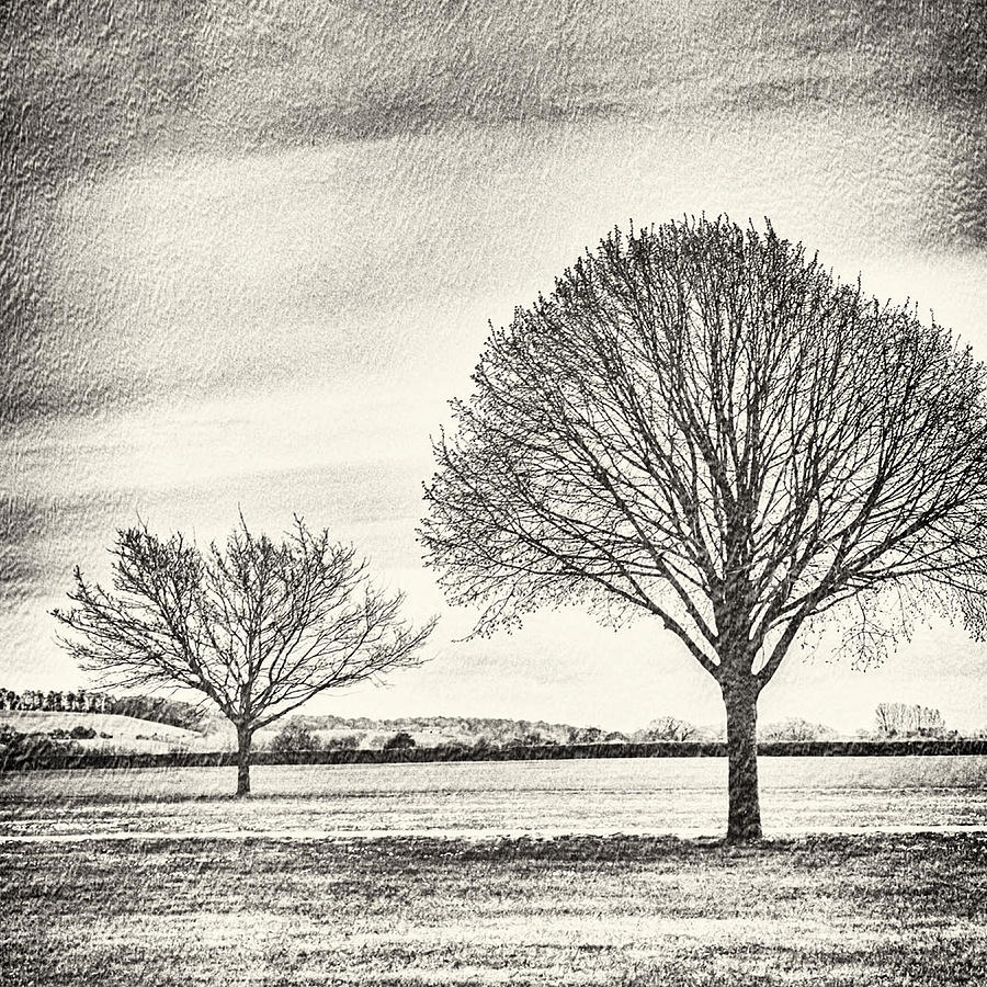 Two Trees in a field #1 Photograph by Lenny Carter