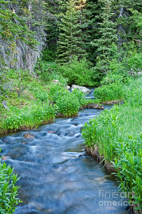 Tyndall Creek in Rocky Mountain National Park #1 Photograph by Fred Stearns