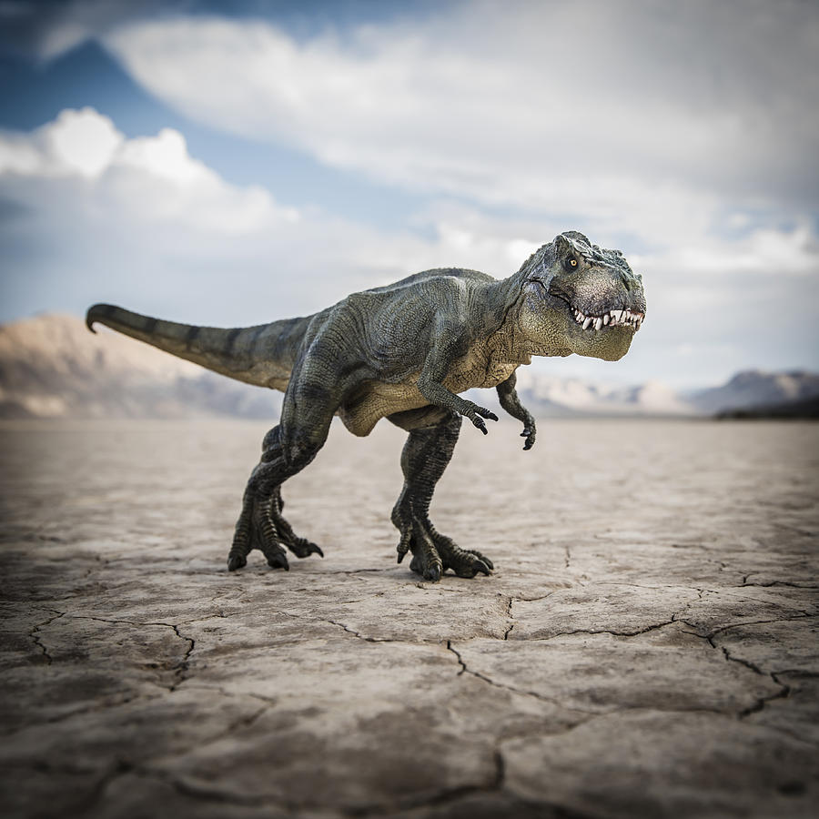 Tyrannosaurus rex dinosaur in desert field #1 Photograph by Jacobs Stock Photography Ltd