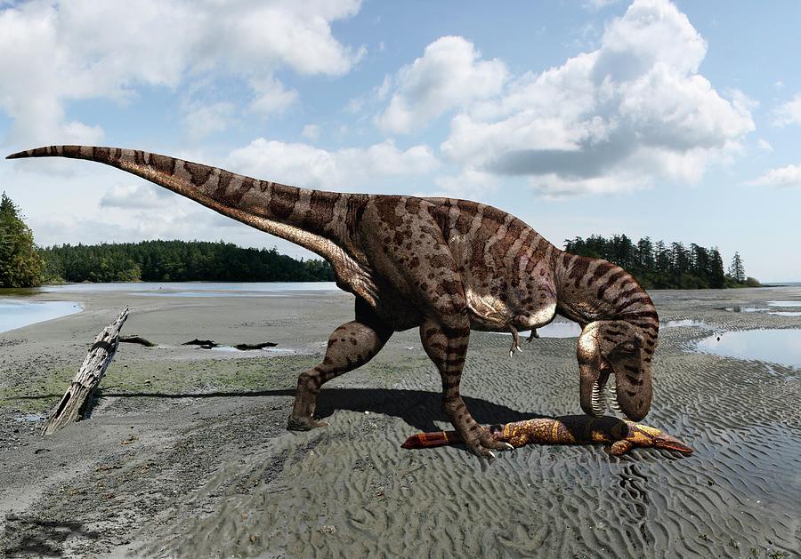 Tyrannosaurus Rex Dinosaur #1 Photograph by Julius T Csotonyi/science Photo Library