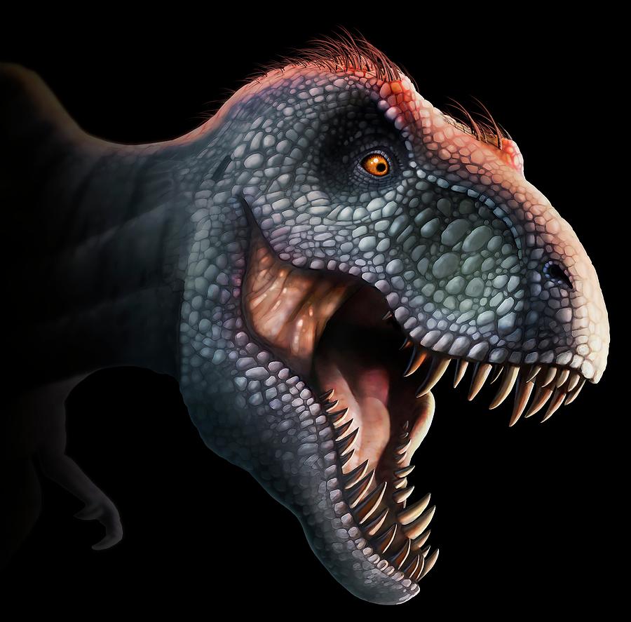 Prehistoric Photograph - Tyrannosaurus Rex Head #1 by Mark Garlick
