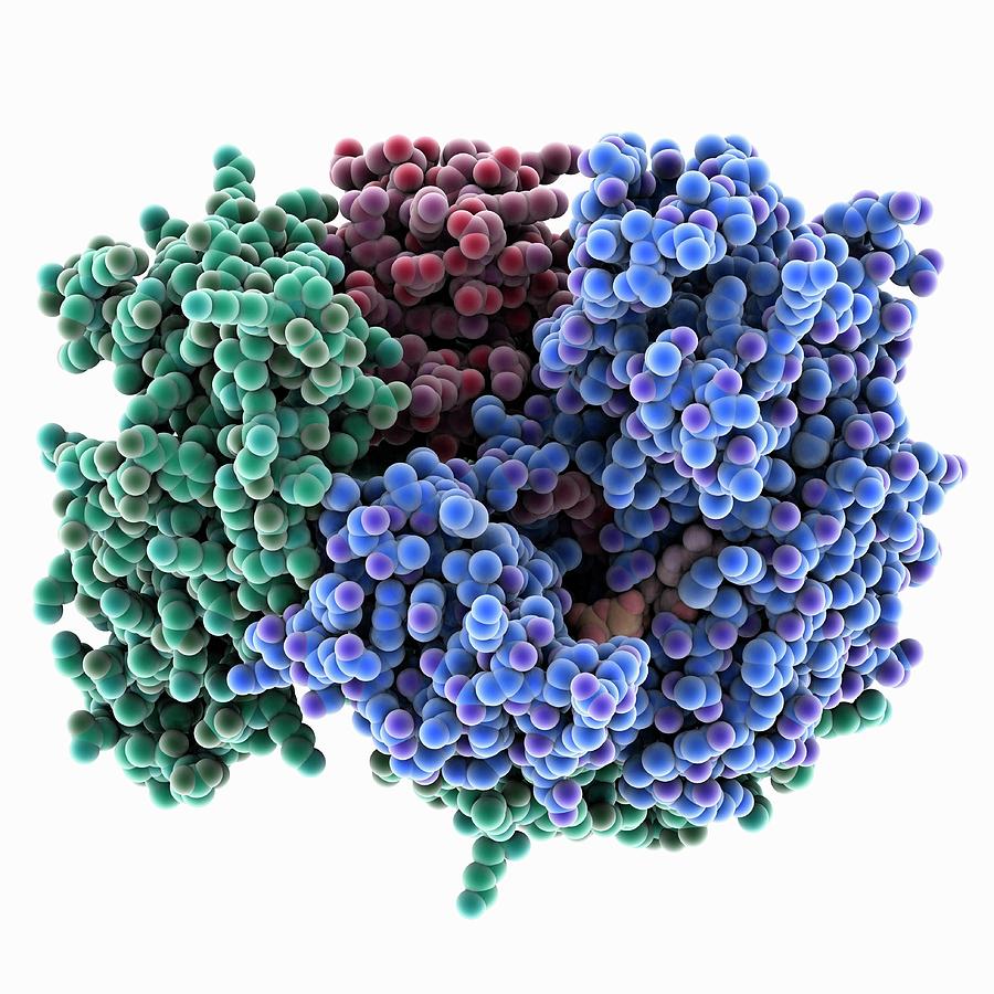Complex Photograph - Ubiquitin-like Protein Complex #1 by Laguna Design