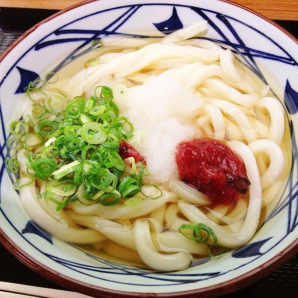 Love Photograph - Udon Lunch
#udon #lunch 
#food #1 by Takeshi O