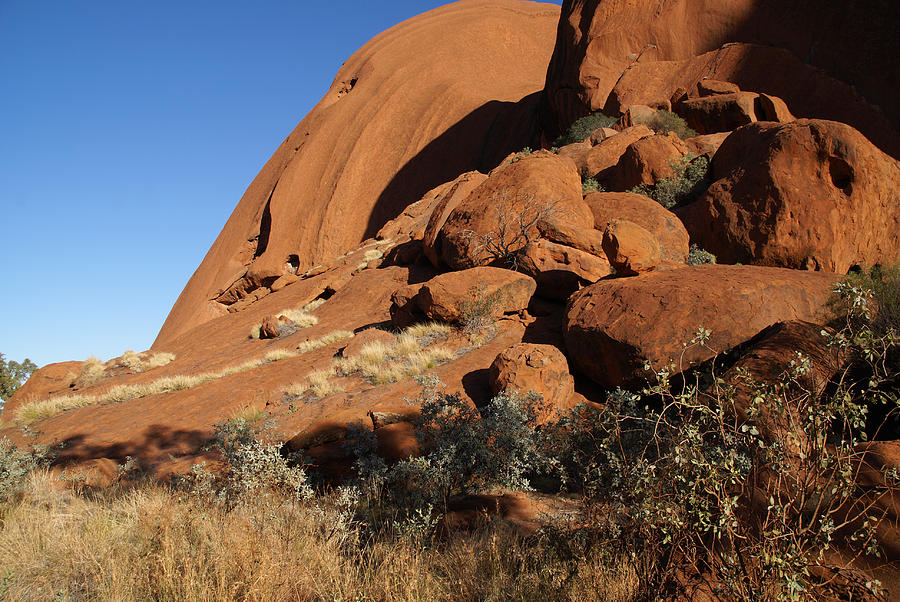 Uluru Detail Close Up Digital Art By Carol Ailles - Fine Art America