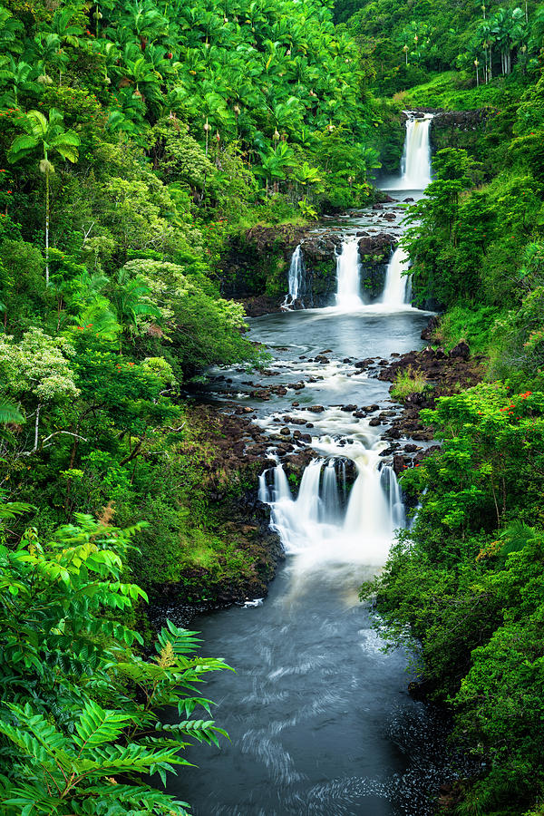 Umauma Falls Along The Lush Hamakua Photograph By Russ Bishop - Fine 