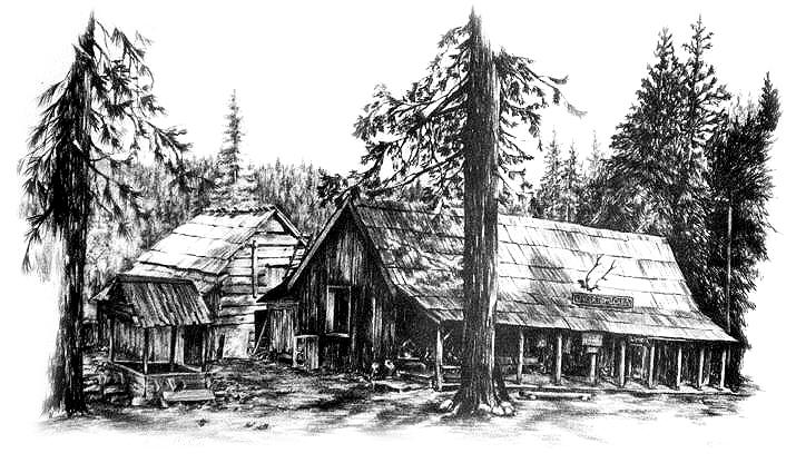 Log Cabin in Pencil with Pine Trees  Easy Pencil Drawing