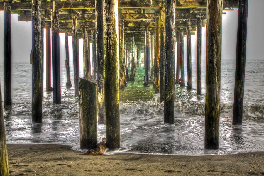 Under The Pier #1 Photograph by SC Heffner