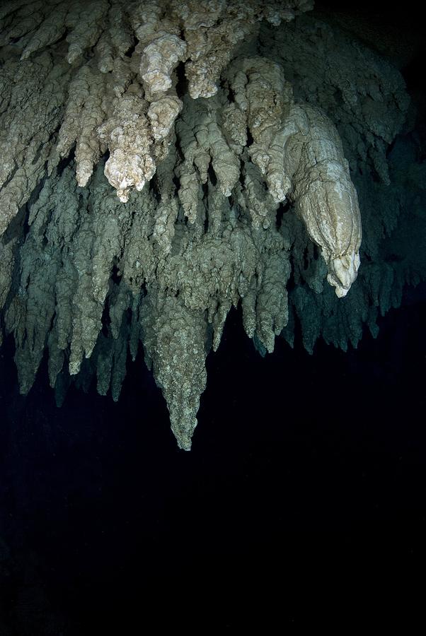 Limestone Formation Photograph - Underwater limestone cave formations #1 by Science Photo Library