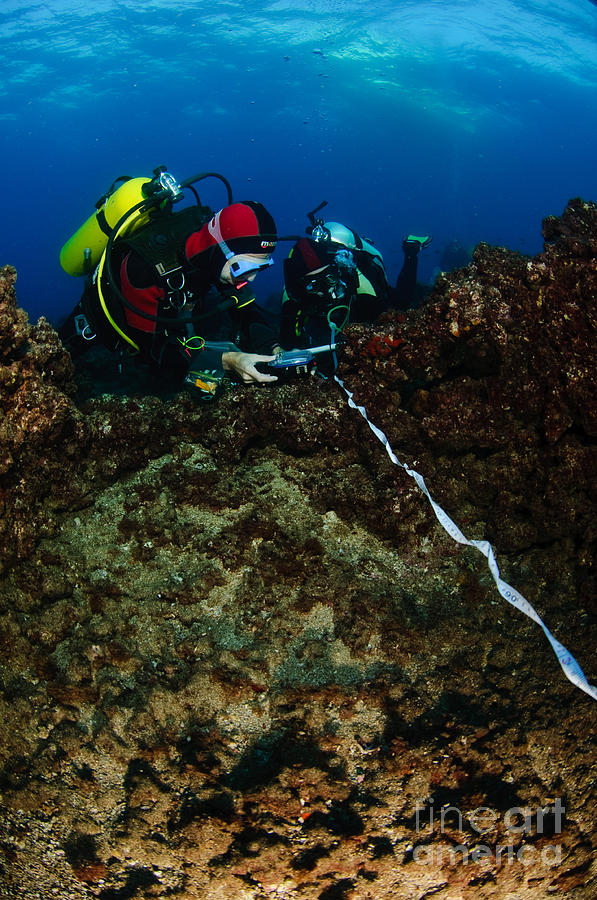Underwater Survey #1 Photograph by Hagai Nativ