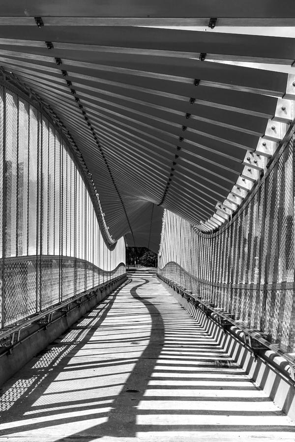 Undulating by Lynn Palmer Undulating by Lynn Palmer
