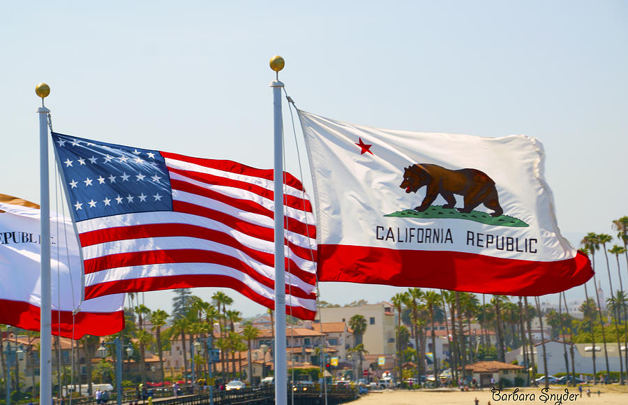 United States and California Flags #1 Photograph by Barbara Snyder