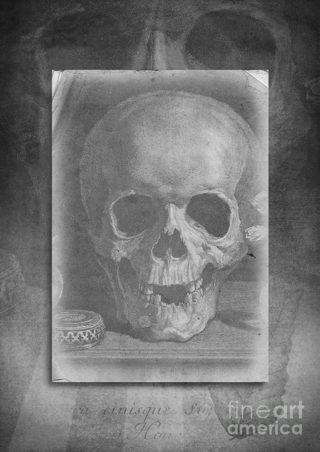Abstract Photograph - Untitled Skull by Edward Fielding
