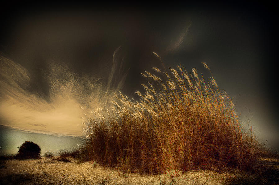 Beach Photograph - Untitled 1 by Miki Meir Levi
