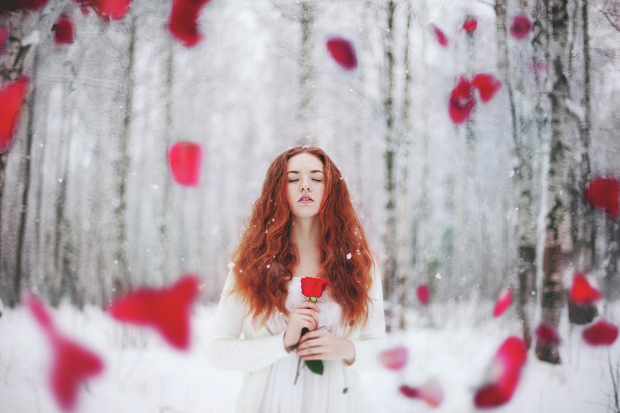Rose Photograph - Untitled #1 by Tatiana Koshutina