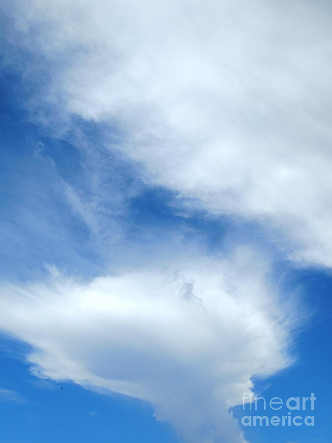 Unusual Cloud in the Florida Sky. #1 Photograph by Robert Birkenes