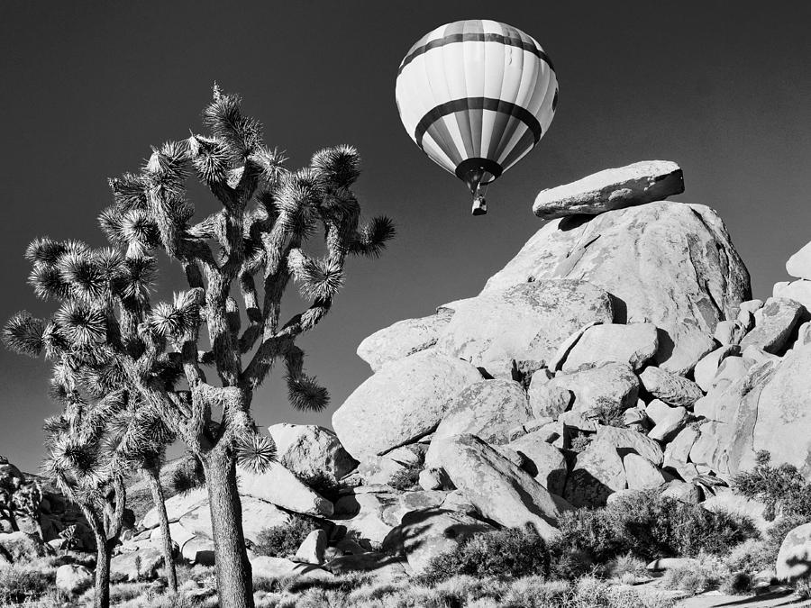 Up and over at Joshua Tree 2 #1 Photograph by Dominic Piperata