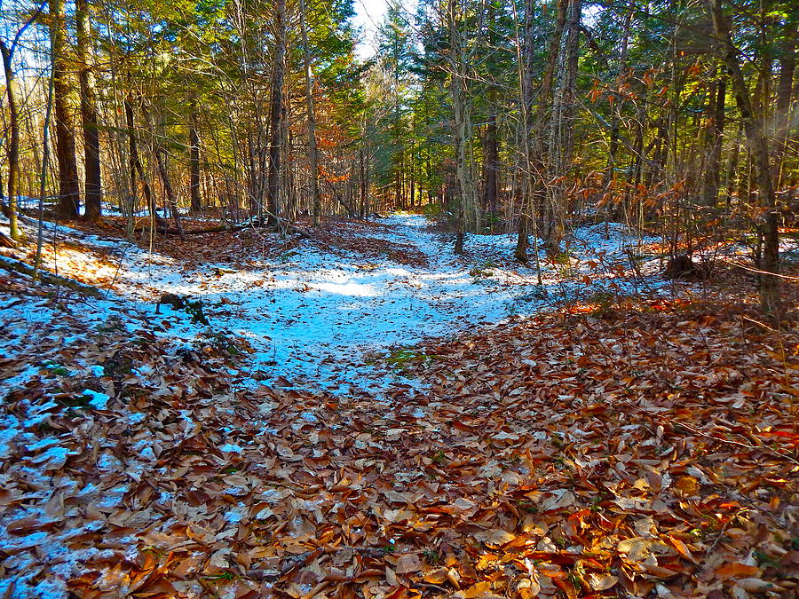 upland bike trail