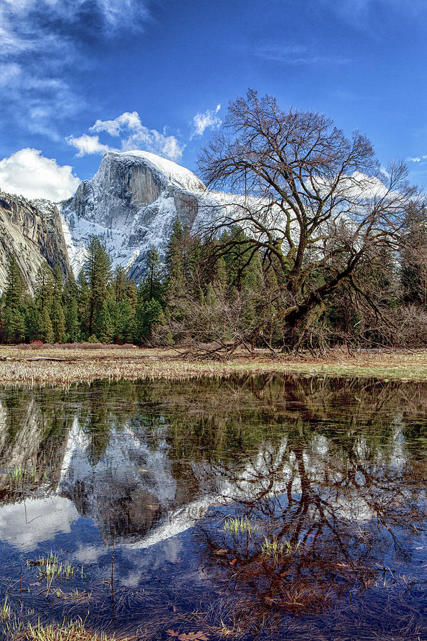 Yosemite National Park Photograph - Upper Yosemite Falls Seen From Cooks #1 by Tom Norring