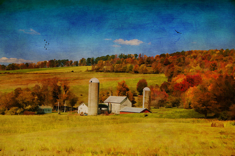 Upstate NY Farm Photograph by Cathy Kovarik