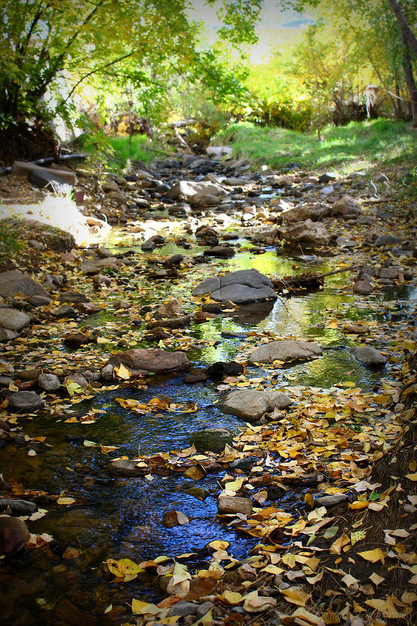 Upstream in Autumn #1 Photograph by Aaron Burrows