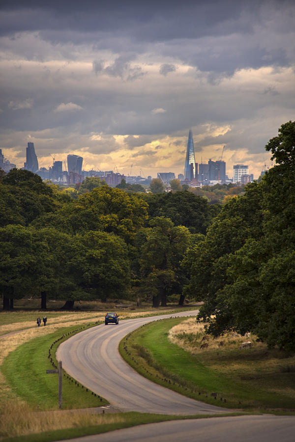 Urban, Rural and Country Landscapes of Richmond Park, London, UK #1 Photograph by Howard Pugh (Marais)