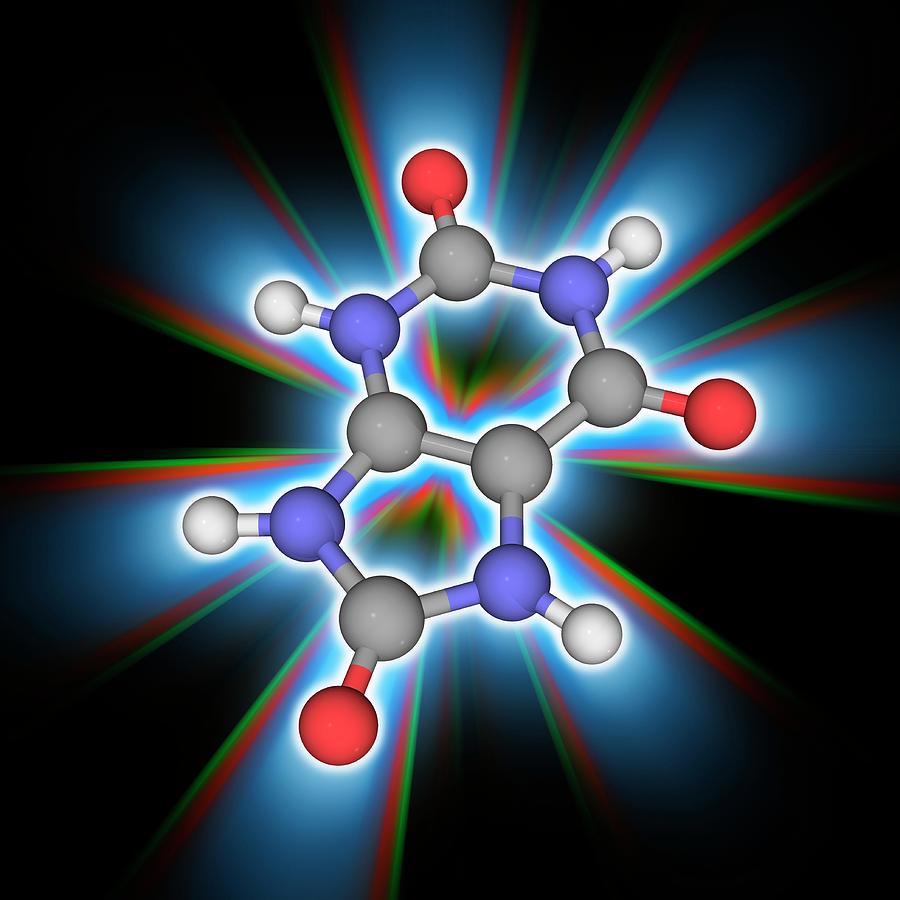 Uric Acid Organic Compound Molecule #1 Photograph by Laguna Design/science Photo Library