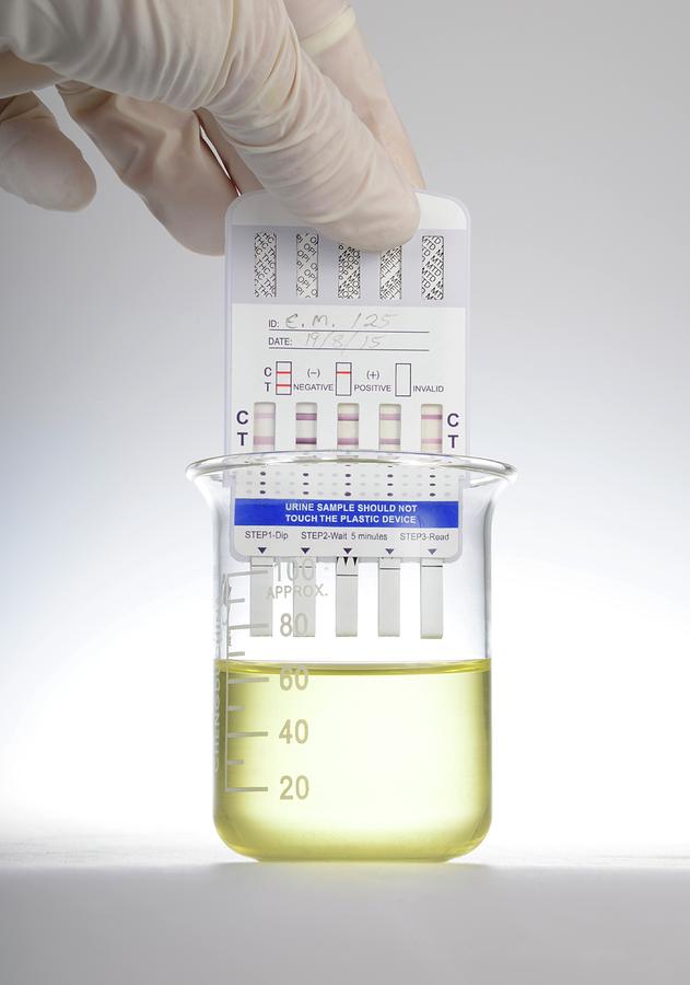 how to carry clean urine for a drug test