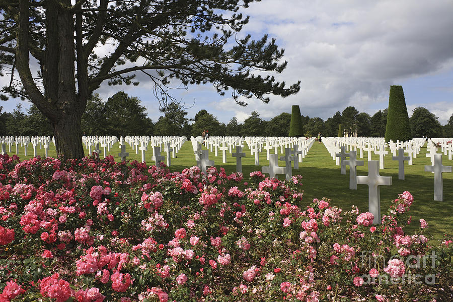 US Cemetery Normandy France #2 Photograph by Julia Gavin