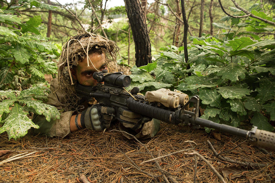 United States Marine Corps Scout Sniper