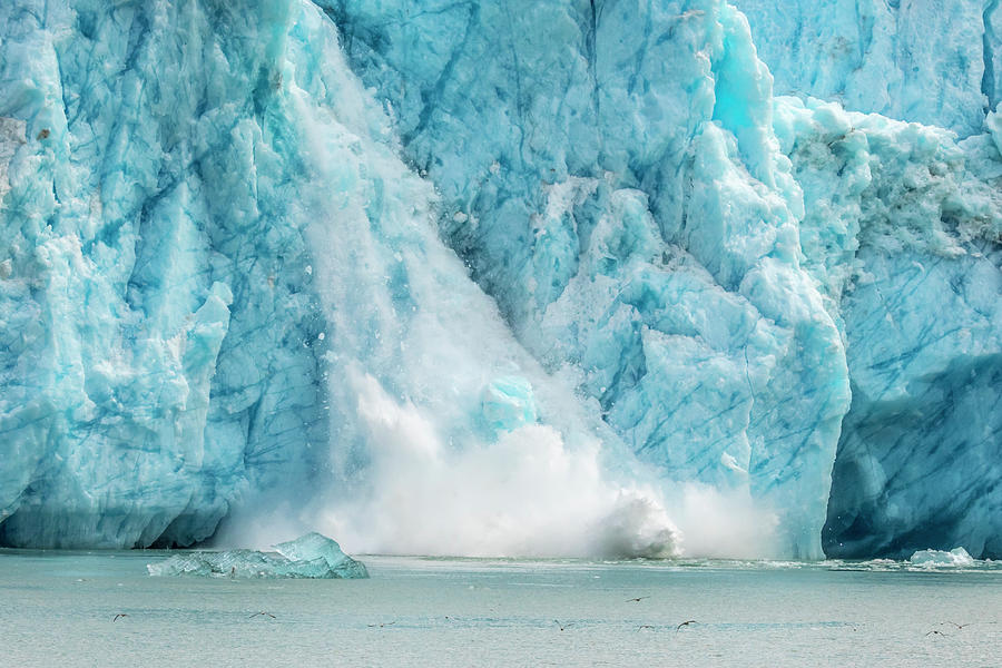 Usa, Alaska, Endicott Arm Of Dawes Photograph By Jaynes Gallery - Pixels