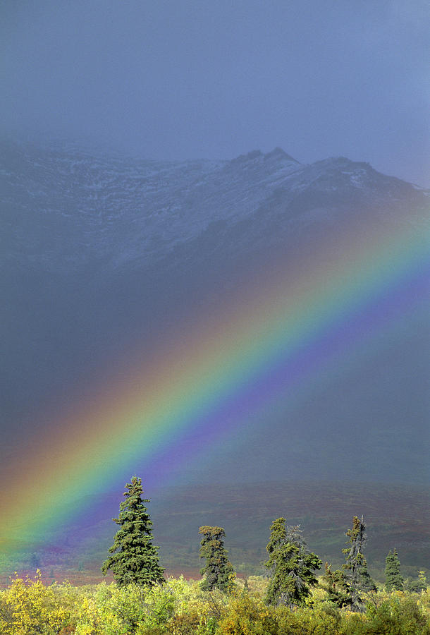 Alaska Photograph - Usa, Alaska, Rainbow, Tundra, Fall by Gerry Reynolds Alaska Photograph - Usa, Alaska, Rainbow, Tundra, Fall by Gerry Reynolds