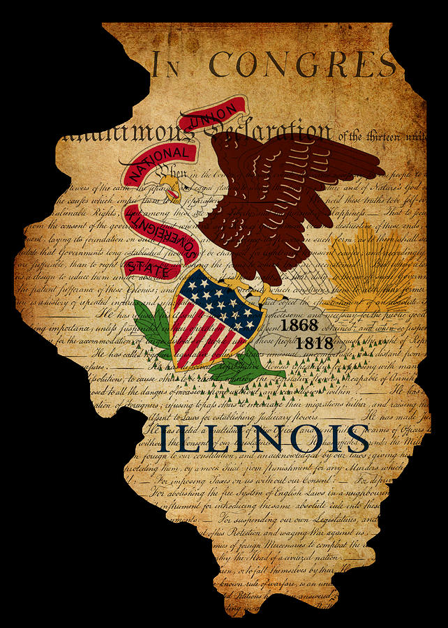 Map Photograph - USA American Illinois State Map outline with grunge effect flag  #1 by Matthew Gibson