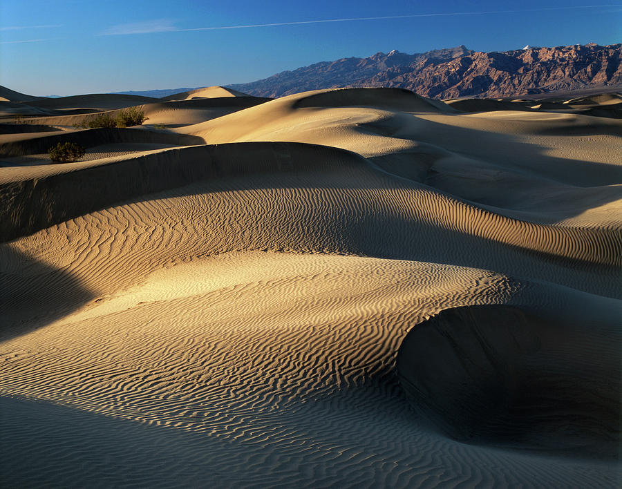 Death Valley National Park Photograph - USA, California, Death Valley National #1 by Adam Jones