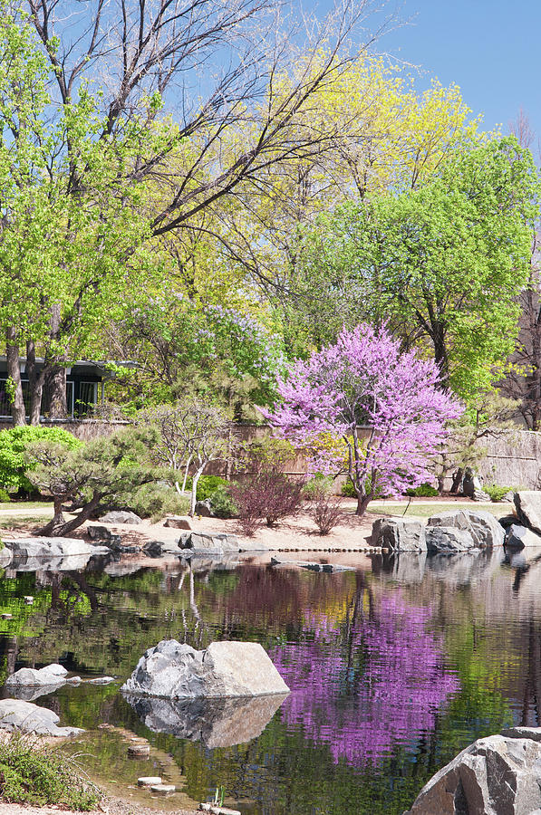 USA, Co, Denver Denver Botanic Gardens Photograph by Trish Drury - Pixels