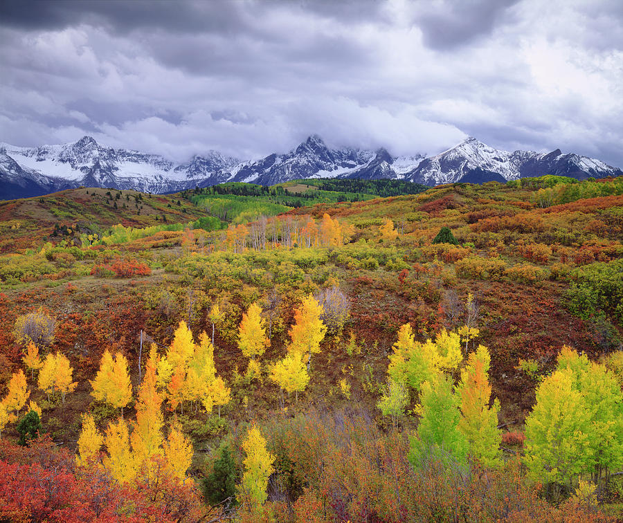 Fall Photograph - USA, Colorado, Rocky Mountains, Autumn #1 by Jaynes Gallery