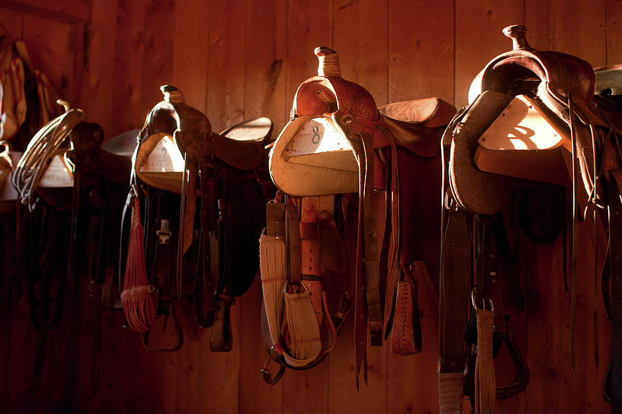 Usa, Colorado, Saddles In Barn #1 Photograph by John Kelly