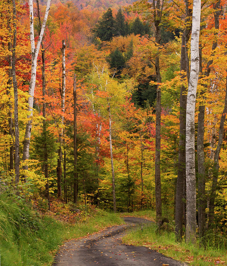 USA, Maine, Bethel #1 Photograph by Jaynes Gallery USA, Maine, Bethel #1 Photograph by Jaynes Gallery
