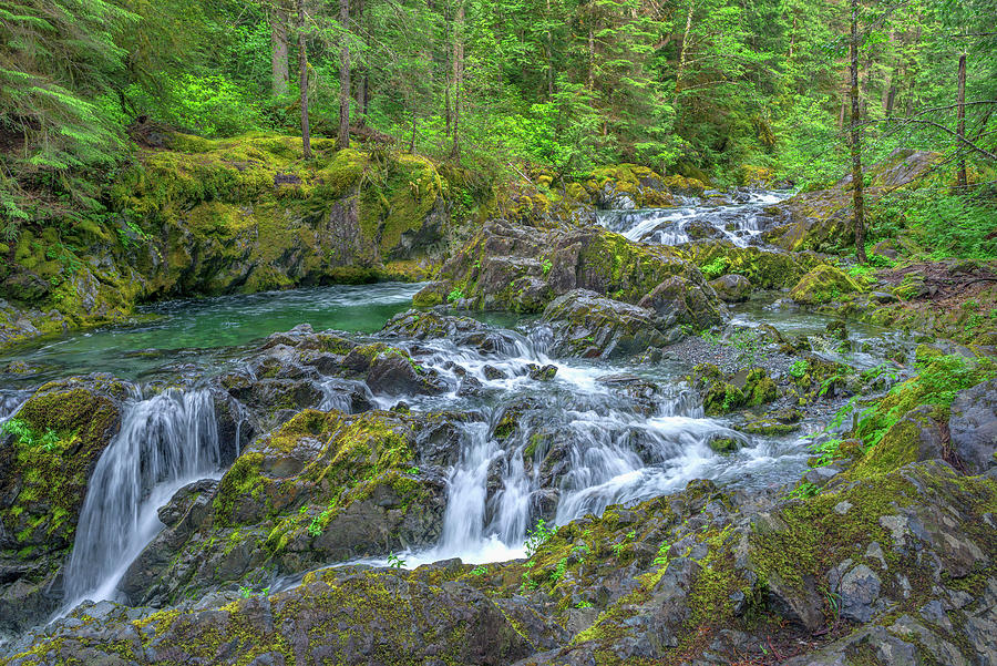 USA, Oregon, Willamette National Photograph by John Barger - Fine Art ...