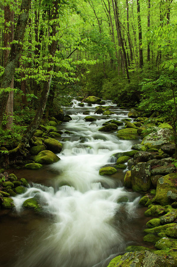 USA, Tennessee, Stream At Roaring Fork Photograph by Joanne Wells ...