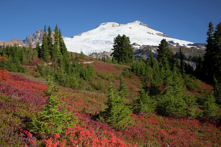 USA, Washington State, Mount Baker Photograph by Jamie and Judy Wild ...