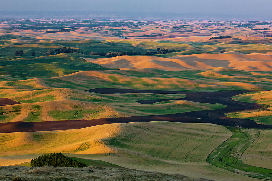 USA, Washington State, Palouse Region Photograph by Terry Eggers - Fine ...