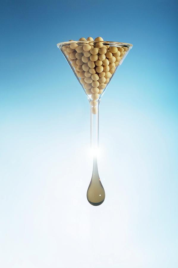 Using Soy To Produce Biofuels #1 Photograph by Steve Percival/science Photo Library