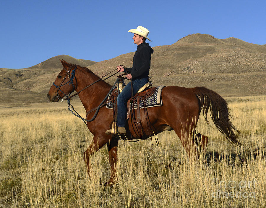 Utah Cowboy #1 Photograph by Dennis Hammer