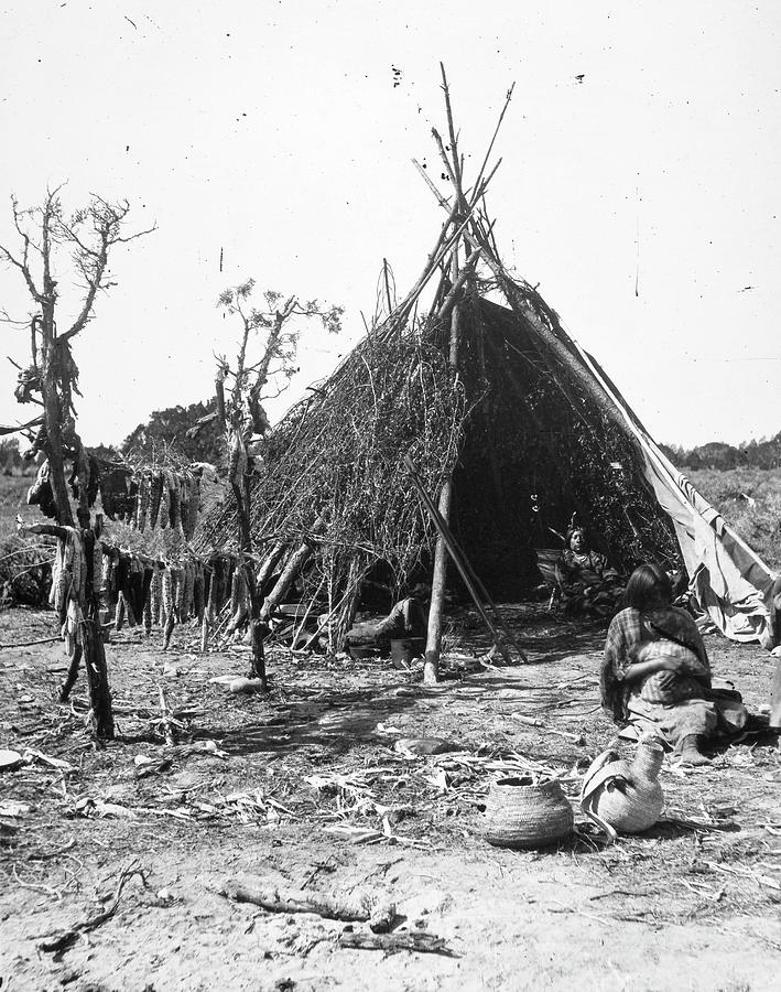 Ute Dwelling, C1873 Photograph by Granger | Fine Art America