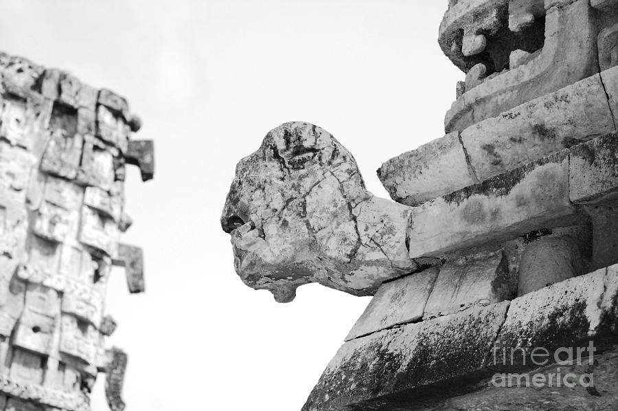 Uxmal Mayan Ancient Turtle Glyph Profile Black and White Photograph by Shawn OBrien