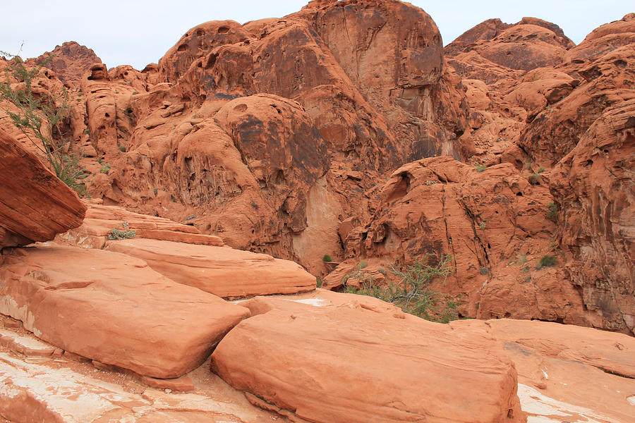 Valley of Fire Nevada #1 Photograph by Susan Jensen