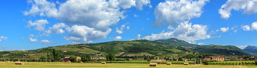 Valpolcella Fields, Italy #1 Photograph by Flavio Vallenari