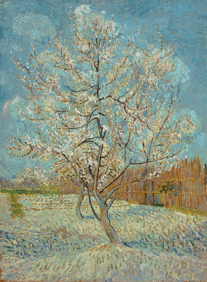 Van Gogh Peach Tree, 1888 #1 Painting by Granger