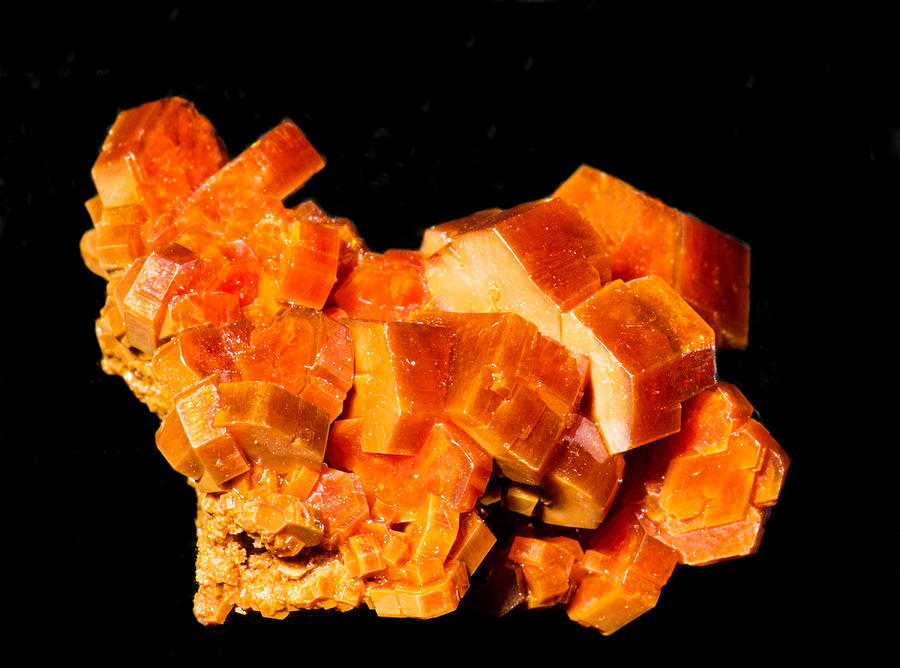 Vanadinite Crystals #1 Photograph by Millard H. Sharp
