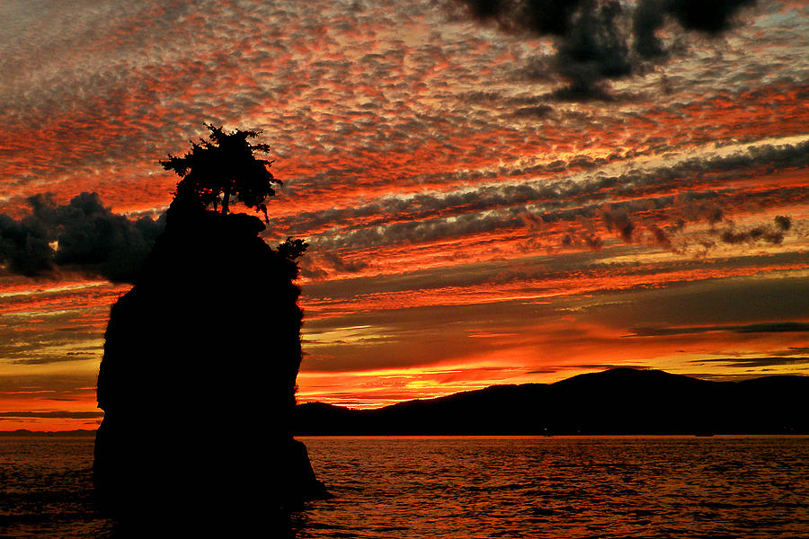 Sunset Photograph - Vancouver Sunset #1 by Brian Chase